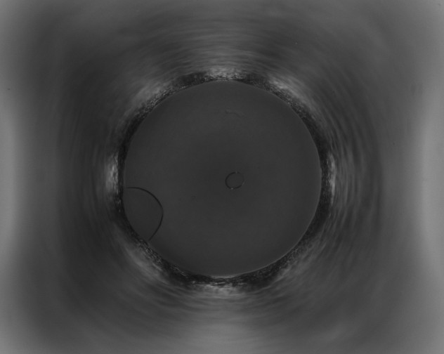 X0000087020502200704161603