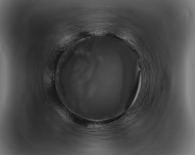 X0000087020503200704161603