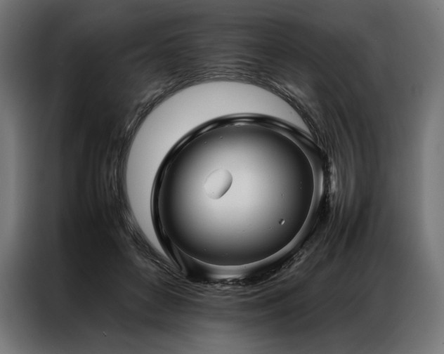 X0000087020504200704161603