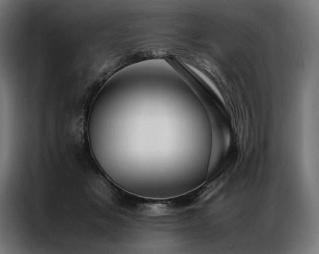 X0000087020509200704161603
