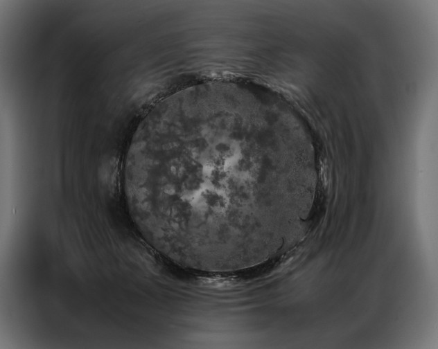 X0000087020511200704161603