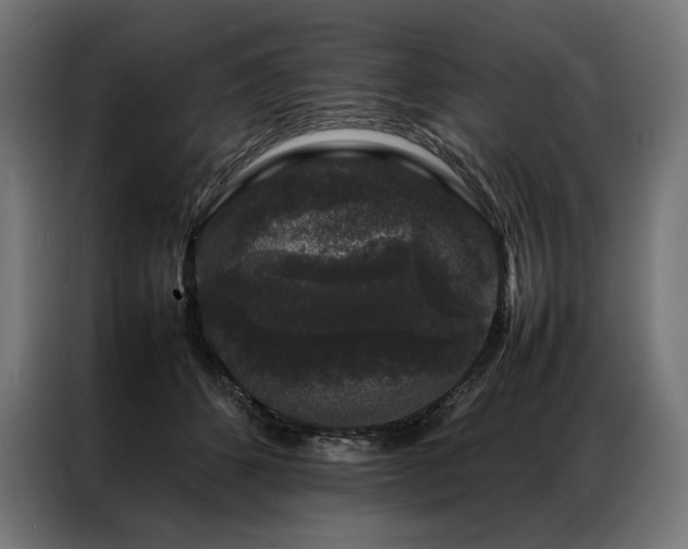 X0000087020512200704161603