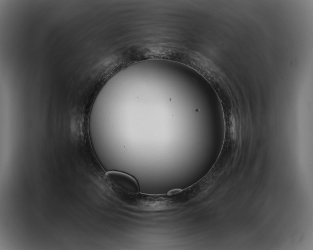X0000087020514200704161603