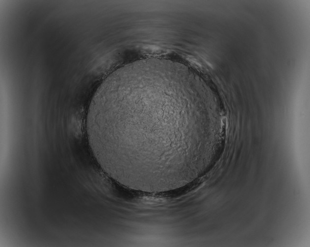 X0000087020515200704161603
