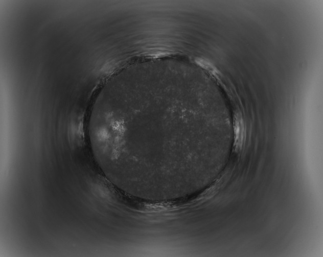 X0000087020516200704161603