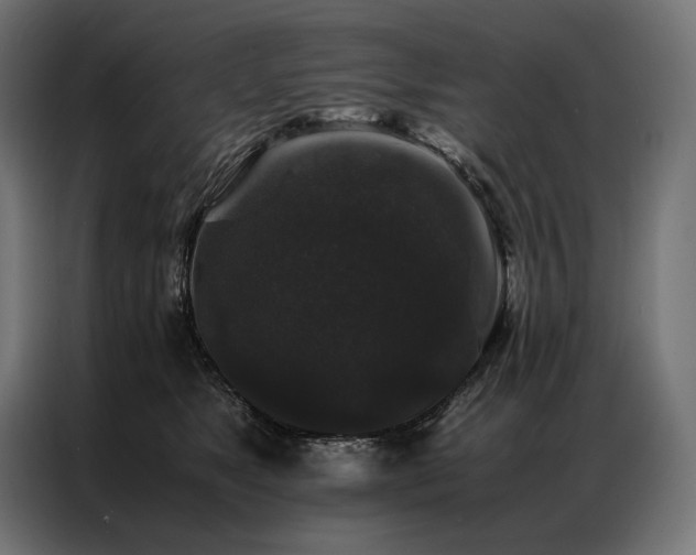 X0000087020517200704161603