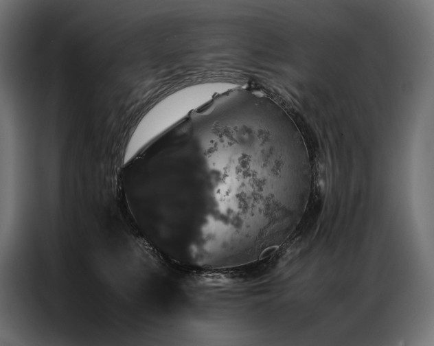 X0000087020519200704161603