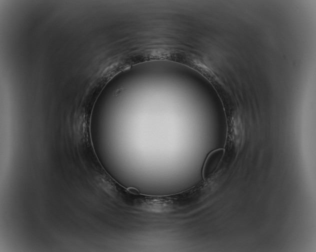 X0000087020522200704161603