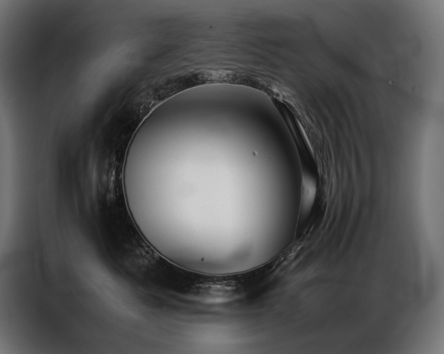 X0000087020525200704161603