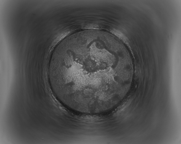 X0000087020529200704161603