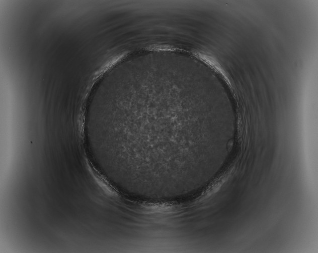 X0000087020533200704161603