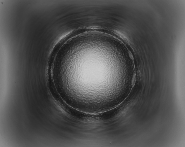 X0000087020535200704161603