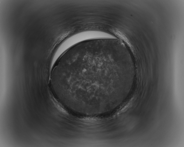 X0000087020537200704161603