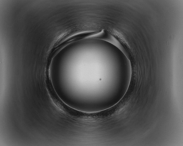 X0000087020538200704161603