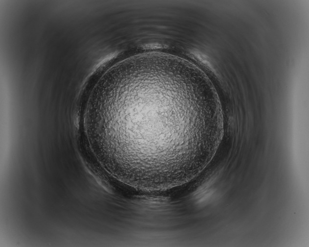 X0000087020539200704161603