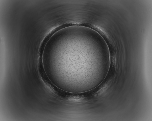 X0000087020540200704161603