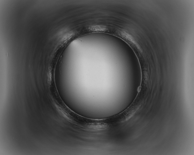 X0000087020541200704161603