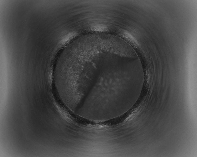X0000087020542200704161603