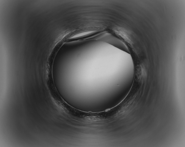 X0000087020544200704161603