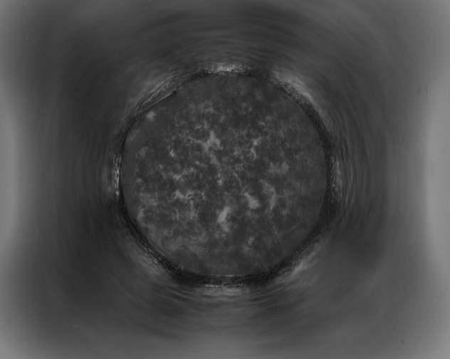 X0000087020545200704161603
