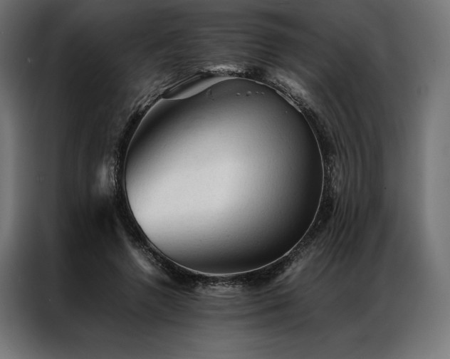 X0000087020546200704161603