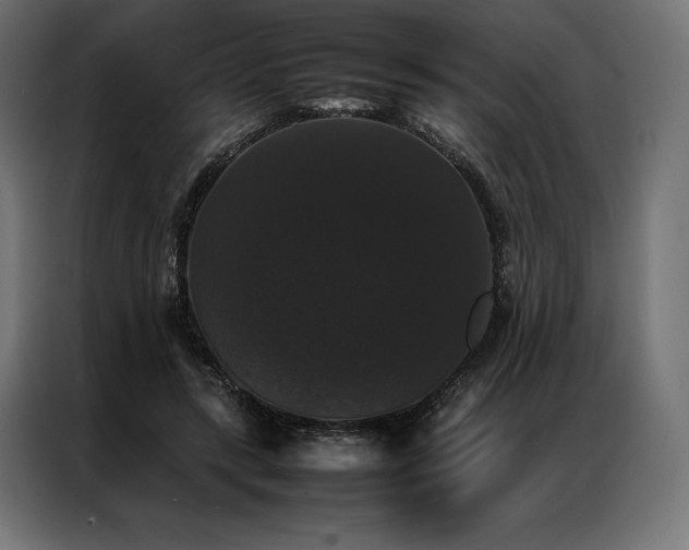 X0000087020547200704161603