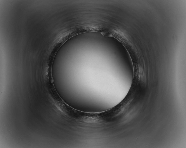 X0000087020548200704161603