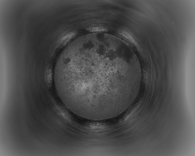 X0000087020549200704161603