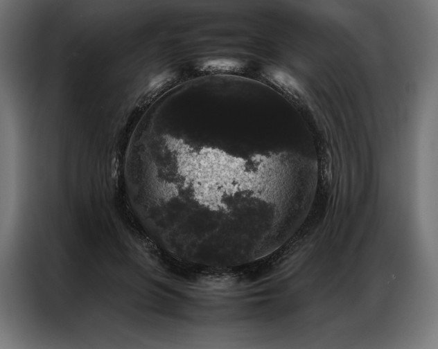 X0000087020551200704161603