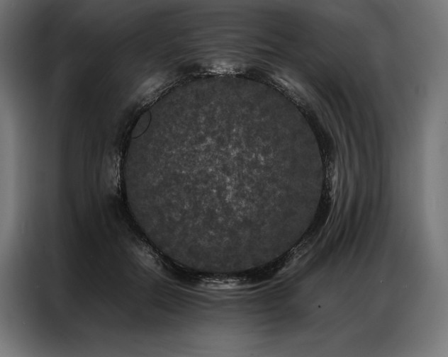 X0000087020554200704161603