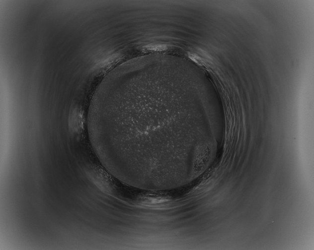 X0000087020555200704161603