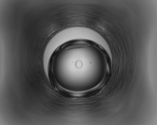 X0000087020556200704161603