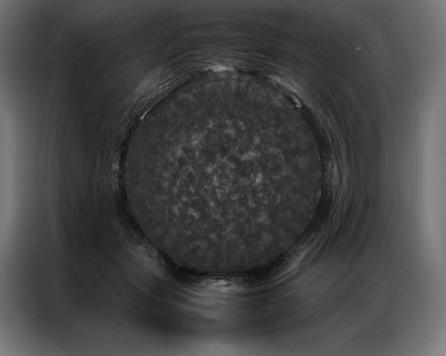 X0000087020557200704161603