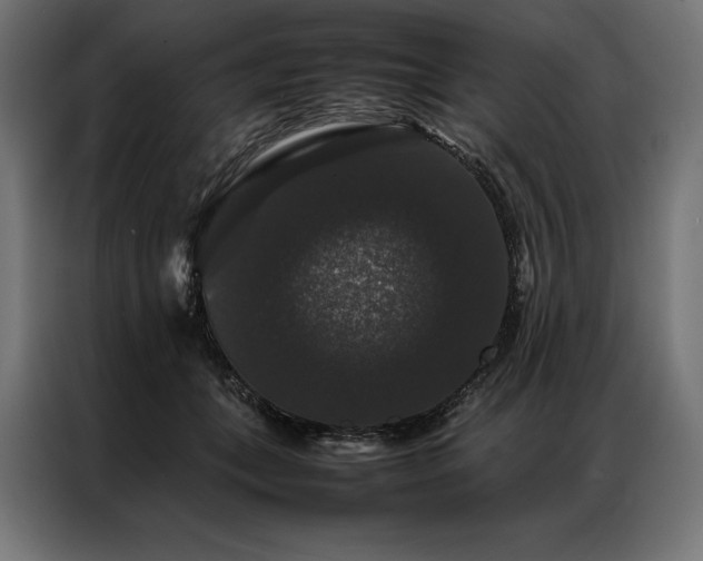 X0000087020559200704161603