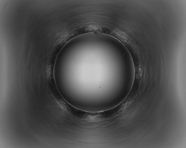 X0000087020560200704161603