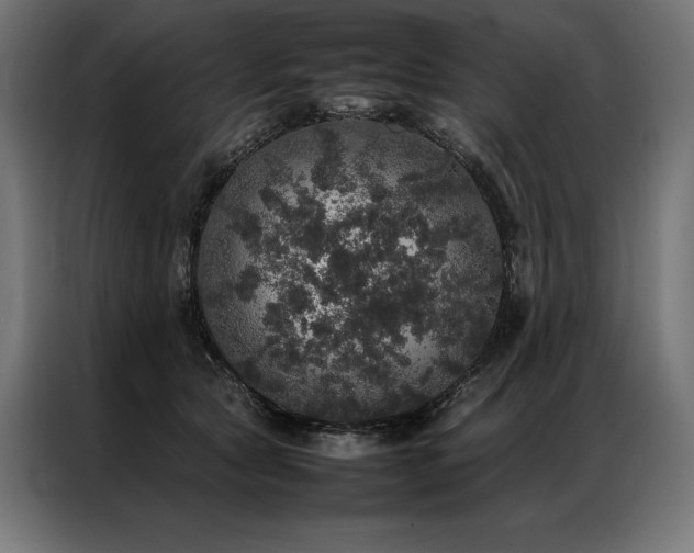 X0000087020561200704161603