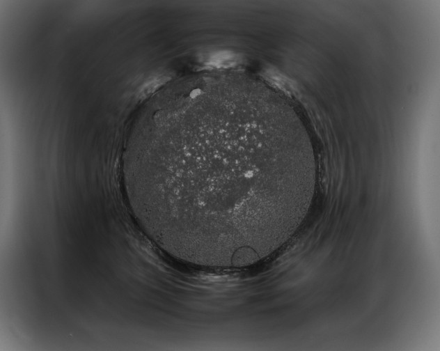 X0000087020563200704161603