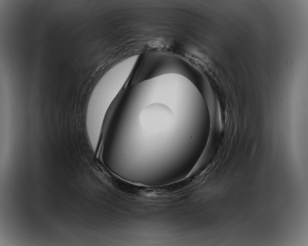 X0000087020564200704161603