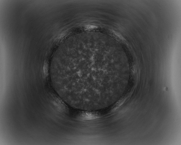 X0000087020565200704161603