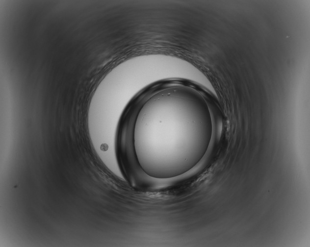 X0000087020566200704161603