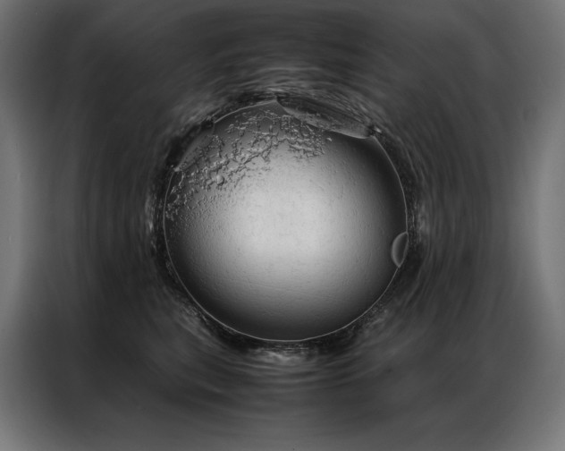 X0000087020567200704161603