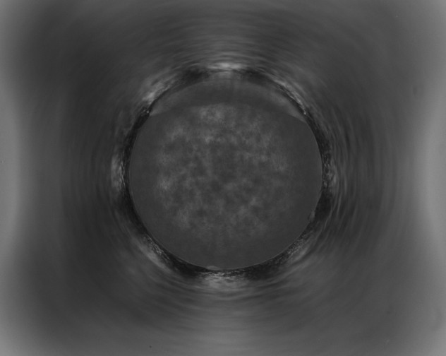 X0000087020568200704161603