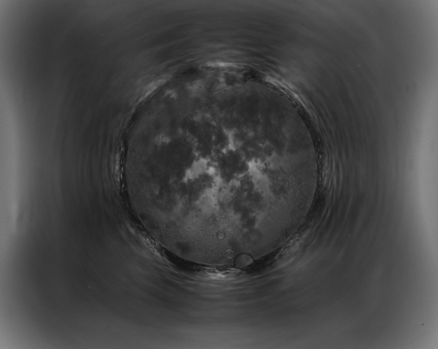X0000087020569200704161603