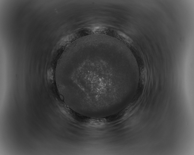 X0000087020571200704161603