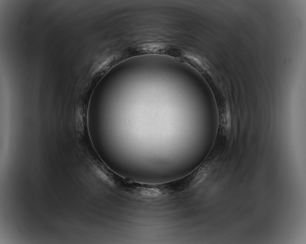 X0000087020572200704161603