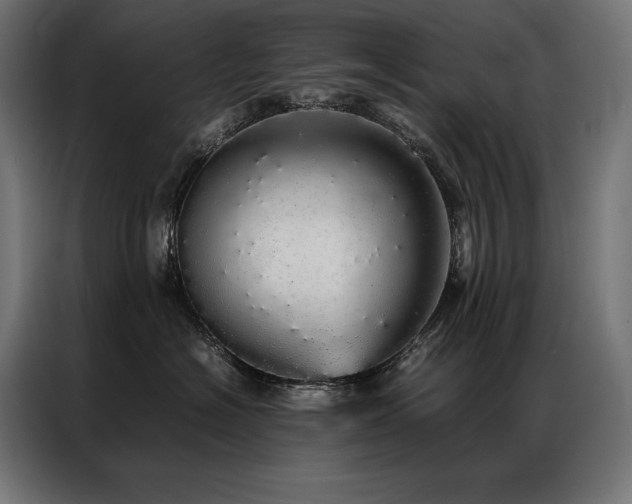 X0000087020574200704161603
