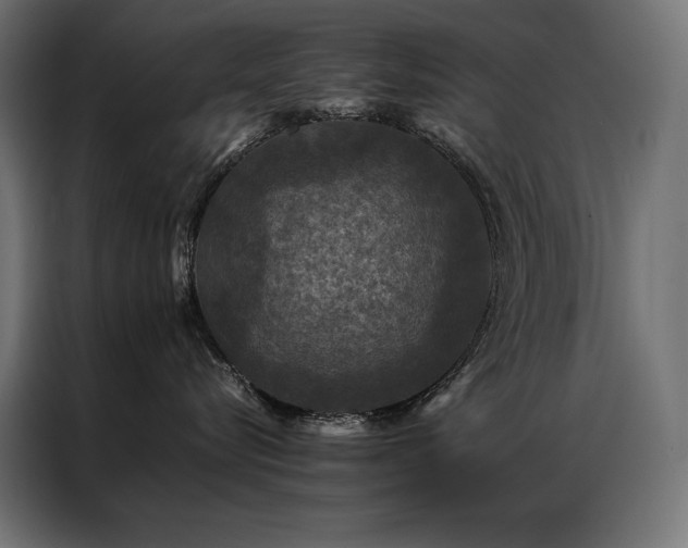 X0000087020576200704161603