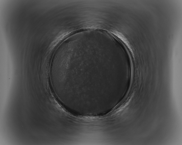 X0000087020577200704161603