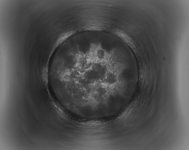 X0000087020578200704161603