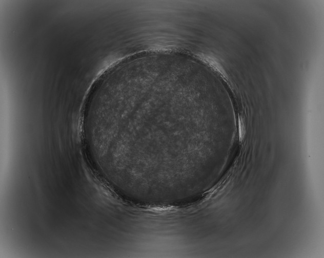 X0000087020579200704161603